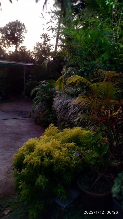 Fab Valley Homestay Munnar Kültér fotó