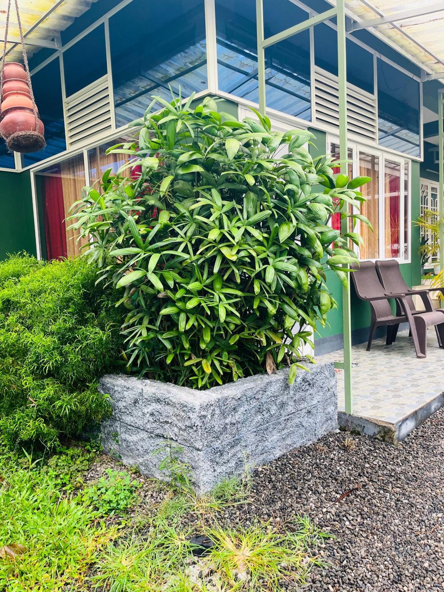 Fab Valley Homestay Munnar Kültér fotó