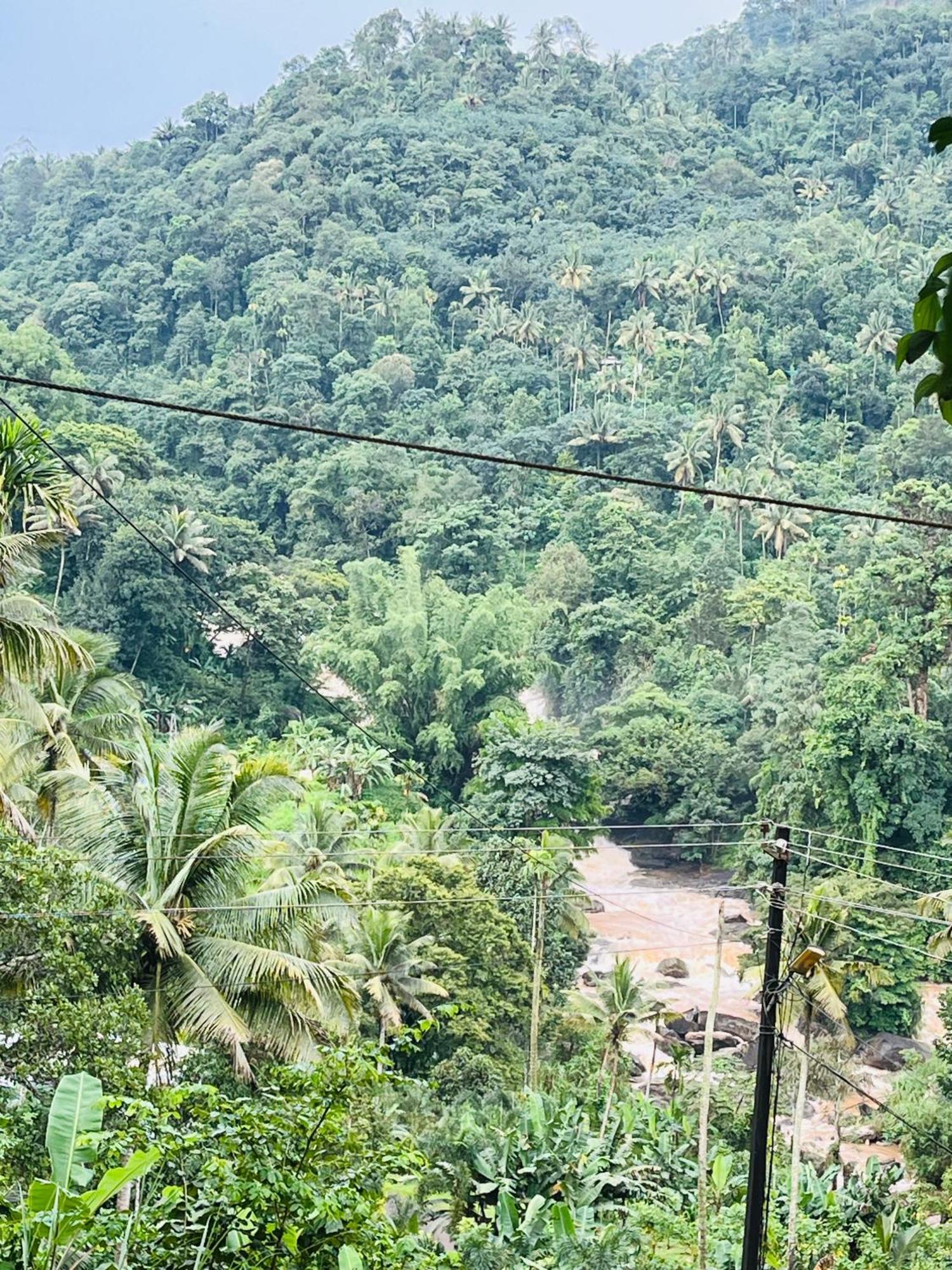 Fab Valley Homestay Munnar Kültér fotó