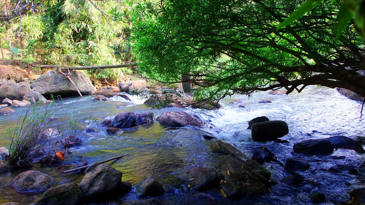 Fab Valley Homestay Munnar Kültér fotó