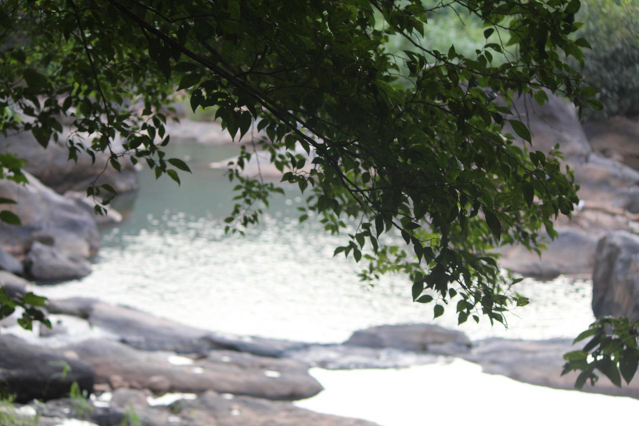 Fab Valley Homestay Munnar Kültér fotó