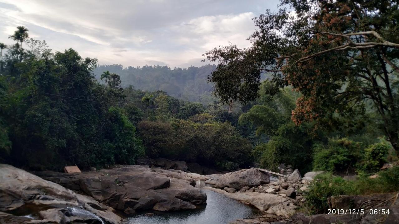 Fab Valley Homestay Munnar Kültér fotó